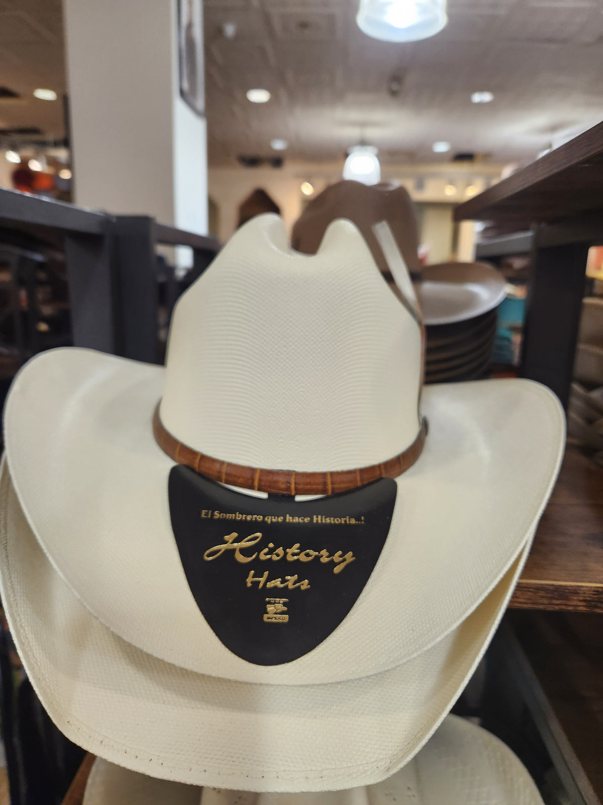 History 2.0 Assorted Straw Hat