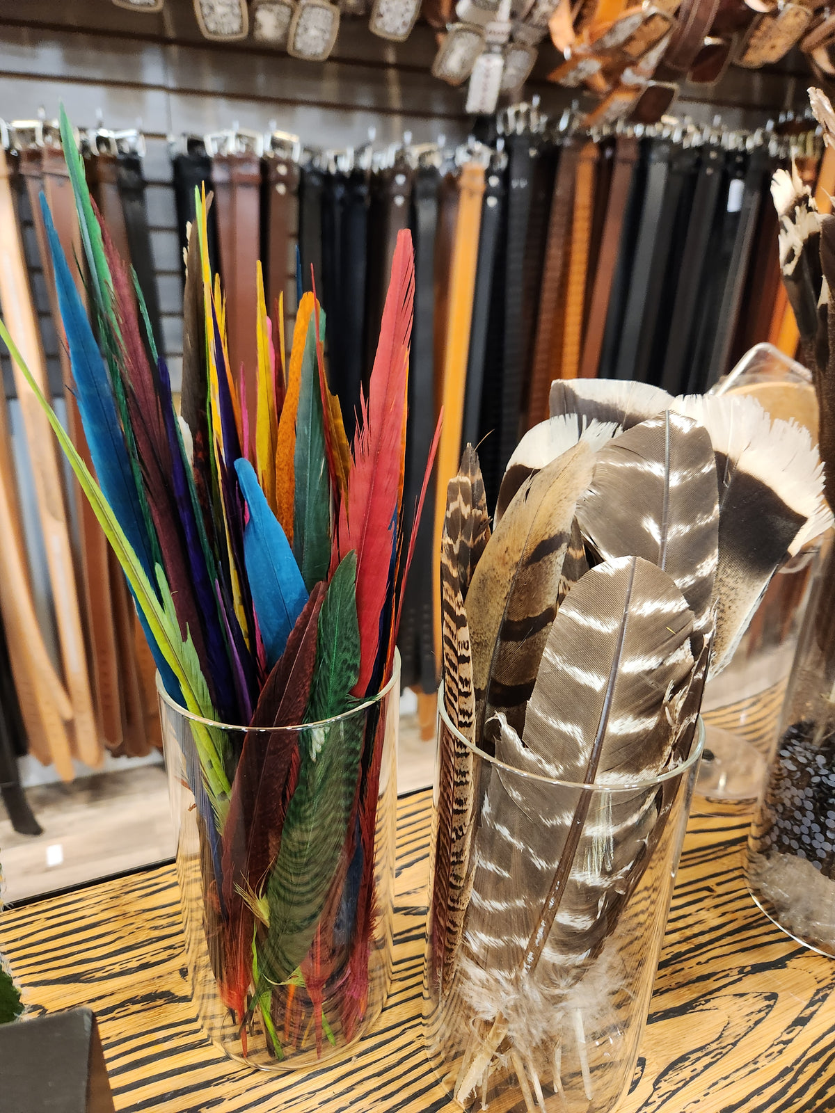 Feathers for Hat Bands