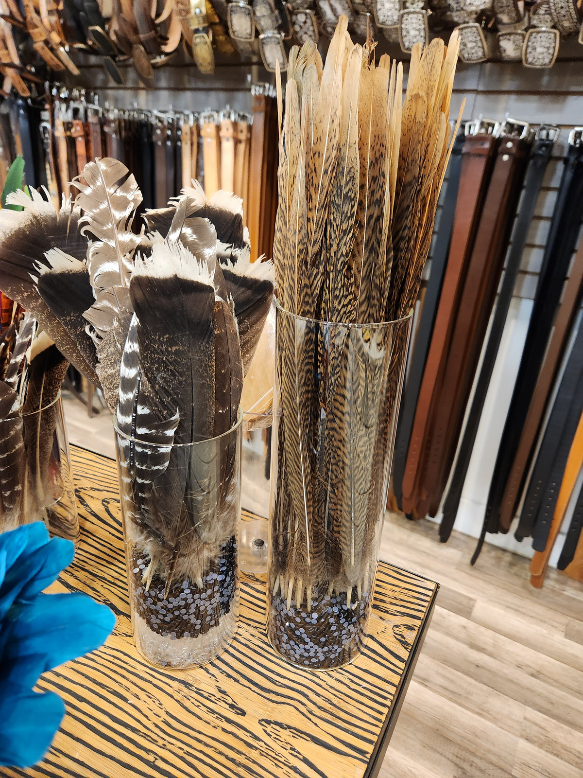 Feathers for Hat Bands