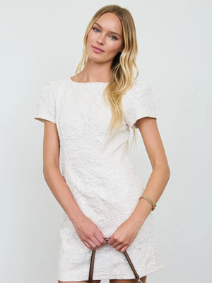 Champagne Rose Mini Dress