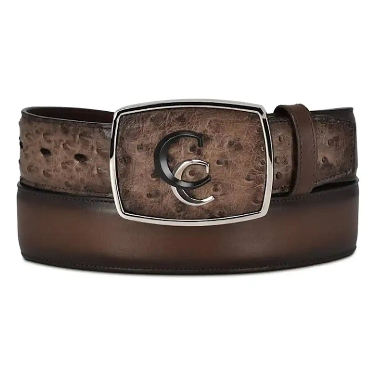 Paxton Ostrich Exotic Belt
