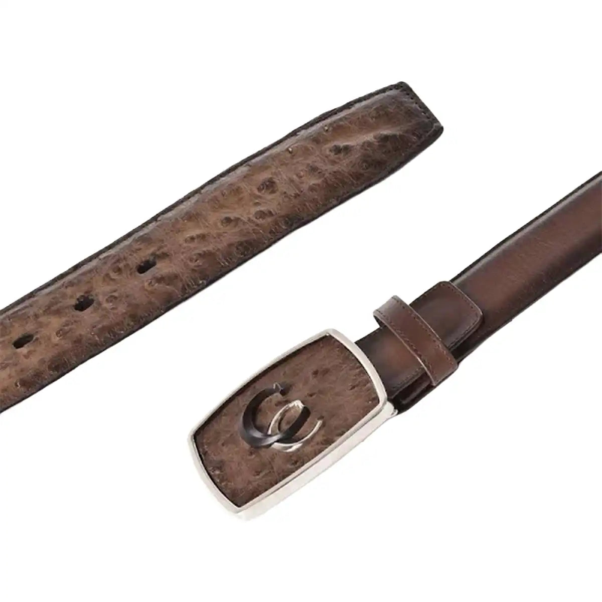 Paxton Ostrich Exotic Belt