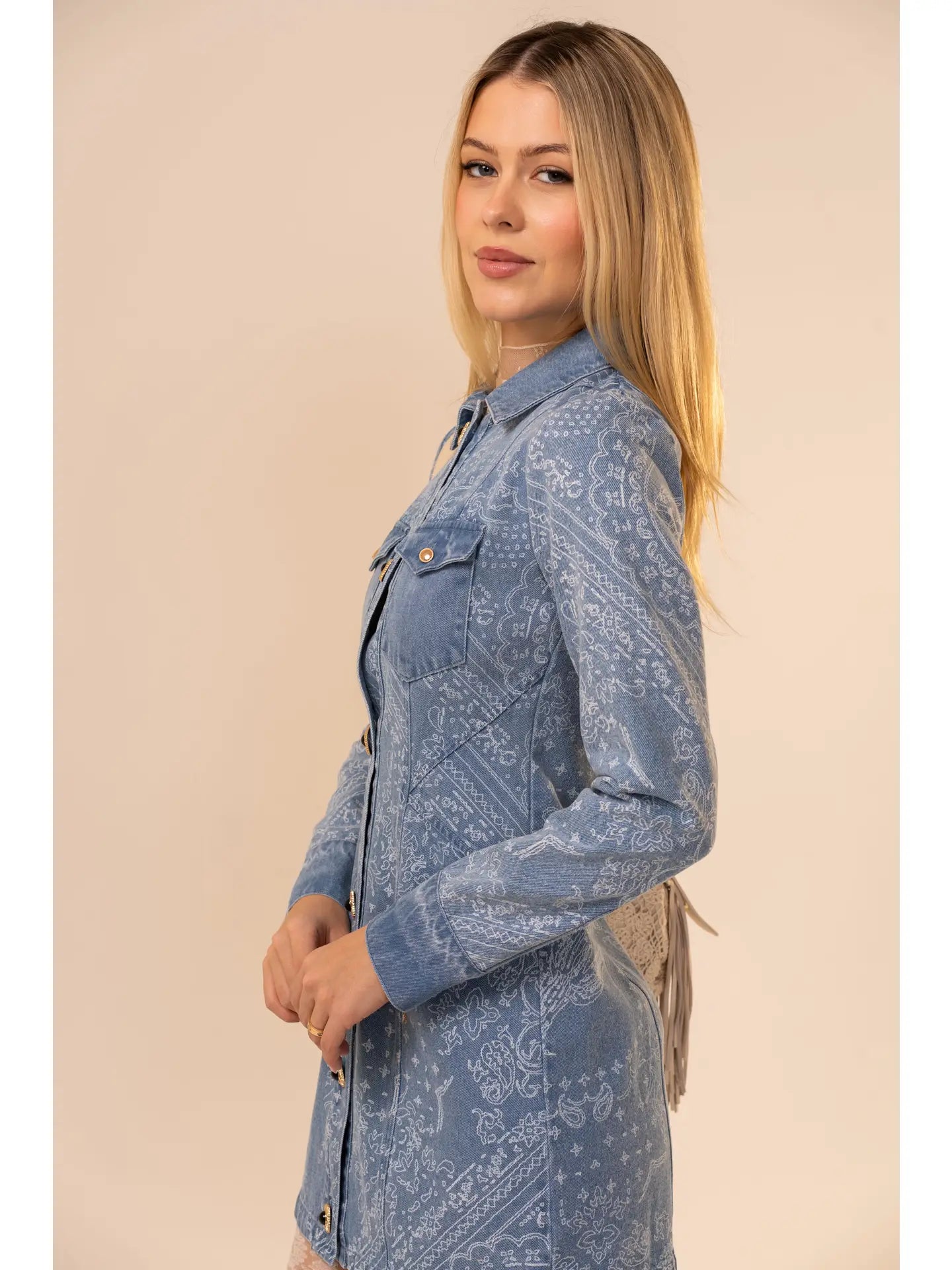 Georgia Denim Dress