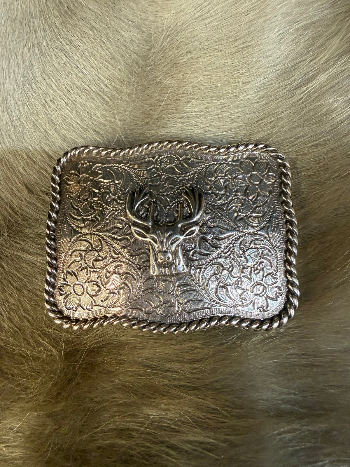 Majesty Assorted Belt Buckles