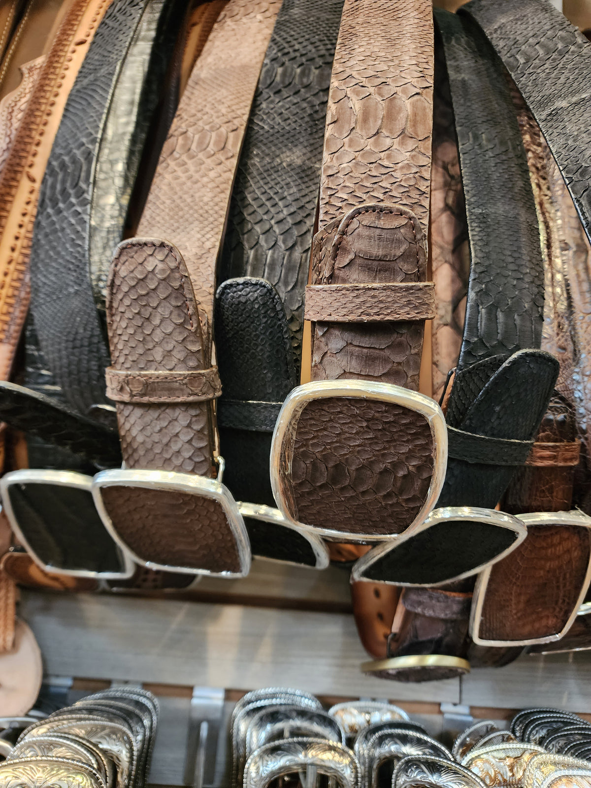 Ford Python Los Altos Belt