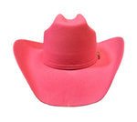 Teague Fuscia 100X Felt Hat