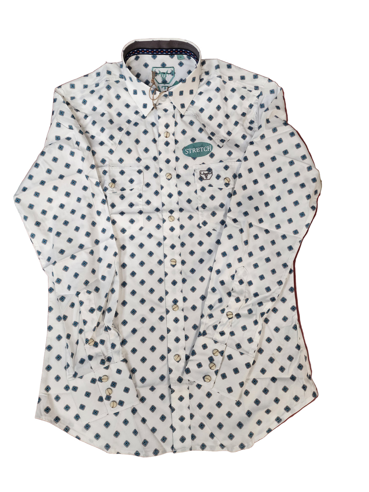AJ Men's Button Down Shirt